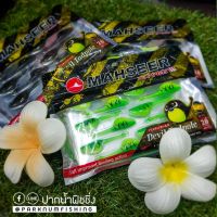 เหยื่อยาง MAHSEER DEVIL TADPOLE DT 2.0"