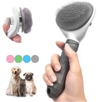 【FCL】▨▨¤ Dog And Hair Removal Floating Cleaning Comb Needle