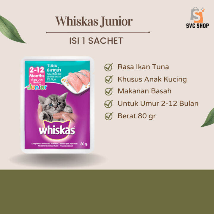 Makanan Kucing Basah 80gr Whiskas Junior Wiskas Untuk Anak Kucing