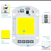 Led  cob chip 30w/50w  AC220V  day white light/warm white light No need driver Smart IC Bulb Lamp For Diy LED Floodlight sportlight Cob led street light
