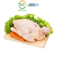 [HCM] Gà ta thả vườn Minh Dư NTFood - Nguyên con size 2.1 - 2.5 Kg - Nhất Tín Food thumbnail
