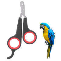 Bird Parrot สัตว์ขนาดเล็กอุปกรณ์เสริม Grooming เครื่องมือกรรไกรตัดเล็บ Clipper สีดำและสีแดง