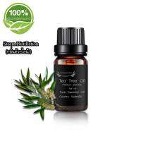 Pure Tea Tree Essential Oil น้ำมันหอมระเหยแท้ ทีทรีออยล์ melaleuca alternifolia leaf oil จาก Australia