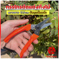 Thaihome กรรไกรแต่งกิ่งไม้ เหล็กคาร์บอน สำหรับใช้ในสวน ด้ามกระชับมือ garden shears