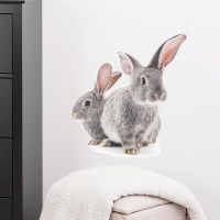 【HOT】 Fanxis new FX-F58 cartoon two little gray rabbits bedroom porch living room wall beautification decorative stickers