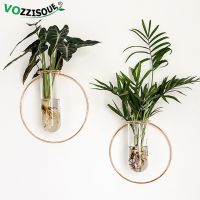 Nordic INS Iron Rack Glass Flower Pots Balcony Wall Mounted Hanging Hydroponic Vase Transparent Wall Planter Metal Orchid Pot