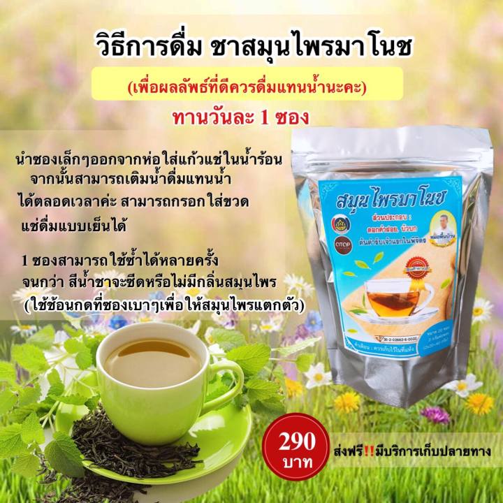 ส่งฟรี-2ห่อ-มี40ซอง-สมุนไพรมาโนช-ชามาโนชห่อฟ้า-บำรุงไต-ลดอาการปวดหลัง-ข้อ-ปัสสาวะมีกลิ่น