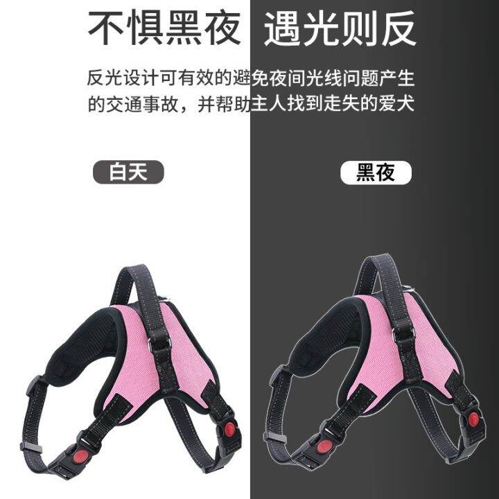 อุปกรณ์สำหรับสัตว์เลี้ยง-amazon-explosive-pet-harness-leash-set-ชุดสายรัดสำหรับสัตว์เลี้ยงป้องกันการระเบิด