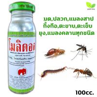 ขายดี !! โมลิดอล100ccสารกำจัดแมลงคลาน เห็บ หมัด มด ชนิดน้ำ