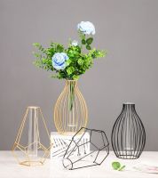 Nordic Simple Golden Glass Vase Hydroponic Plant Flower Vase Iron Geometric Glass Test Tube Metal Plant Holder Modern Home Decor