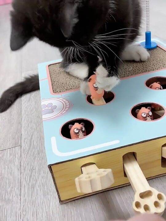 RCTOWN,2023New!!Cat Playing Hamster Toy Hamster Machine Cute Toys For