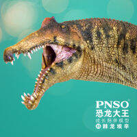 ไดโนเสาร์ PNSO Spinosaurus Essien ขนาดโมเดลร่างกาย35