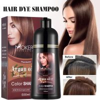 【CW】 Hair Color Instant Dye Shampoo Cover Up Lasting Coloring Treatment  Styling