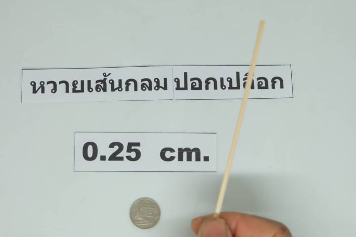 หวายแท้-0-25x100-cm-เส้นกลม-ปลอกเปลือกแล้ว-บรรจุ-3-เส้น