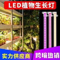 Qianchun Lighting LED plant growth lamp indoor full spectrum plant light strip greenhouse cultivation timing dimmingCHN-Q