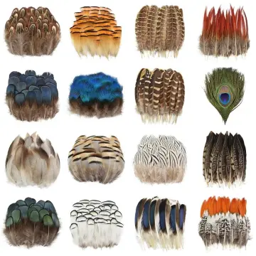  10Pcs/lot Natural Dyed Peacock Feathers for Crafts