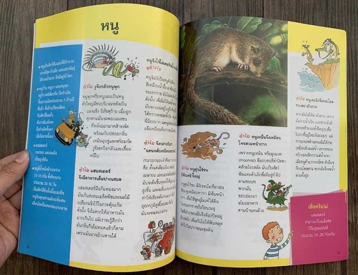 ชุดหนังสือ-หนูอยากรู้-หนังสือเสริมความรู้สุดเจ๋ง-ชุดนี้มีทั้งหมด-5-เล่ม-ให้เด็กๆ-ได้เรียนรู้เรื่องวิทยาศาสตร์-โลกของเรา-สัตว์-อวกาศ
