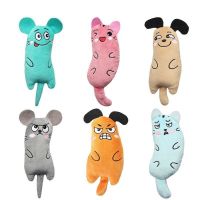 Cat Toys Interactive Cute Cat Toys Funny Plush Mini Toy Kitten Chew Squeaky Toy Pets Accessories  pet products Toys