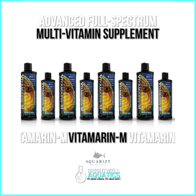 Vitamarin - M / Fish Nutrition / อาหารเสริมสำหรับปลา / Brightwell Aquatics