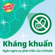 Miếng rửa chén hạt nổi không trầy xước Scotch Brite 3M đa năng