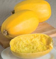 เมล็ดพันธุ์ ฟักทองสปาเก็ตตี้ Spaghetti Squash Seed บรรจุ 15 เมล็ด คุณภาพดี ราคาถูก ของแท้ 100%