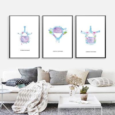 Watercolor Chiropractic Art Print Chiropractor Office Decor Vertebrae Sketch Poster Anatomical Human Wall Art Canvas Painting