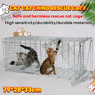 Shop Cat Trap Catcher online