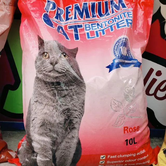 Premium Cat Bentonite Litter Sand 10Liters Lazada PH
