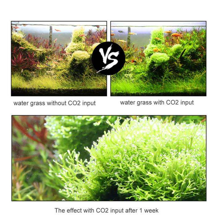 พิพิธภัณฑ์สัตว์น้ำ-diy-co2-ระบบเครื่องกำเนิดไฟฟ้าชุด-co2-ระบบเครื่องกำเนิดไฟฟ้าที่มีฟองเคาน์เตอร์และตรวจสอบวาล์วก๊าซคาร์บอนไดออกไซด์เครื่องปฏิกรณ์ชุดสำหรับพืชพิพิธภัณฑ์สัตว์น้ำ