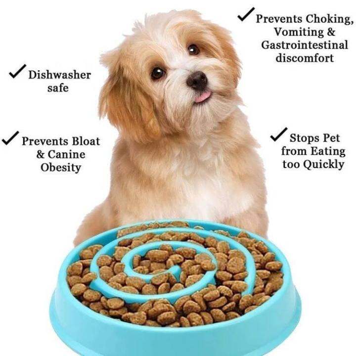 ชามให้อาหารหมา-ชามอาหารสัตว์เลี้ยง-pet-food-bowl-แมว-ชามข้าวแมว-pet-food-bowl-ชามให้อาหาร-ชามให้อาหารแมว-ขนาด-20cm-คละสี