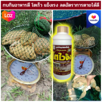 ?ส่งฟรีไม่ใช้โค๊ด อาหารเร่งโต ไคโตซาน สำหรับกบ โตเร็ว โตไว ลดการตายได้ดี