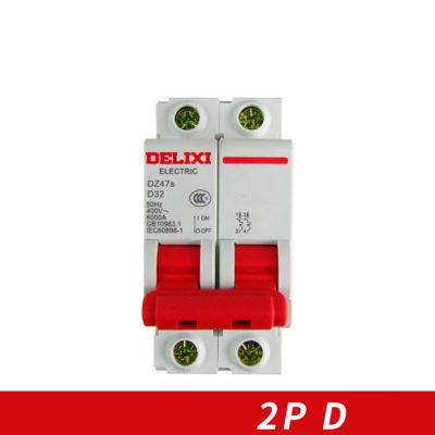 Miniature Circuit Breaker Air Dz47s-63 Delixi Mcb 2เสา 