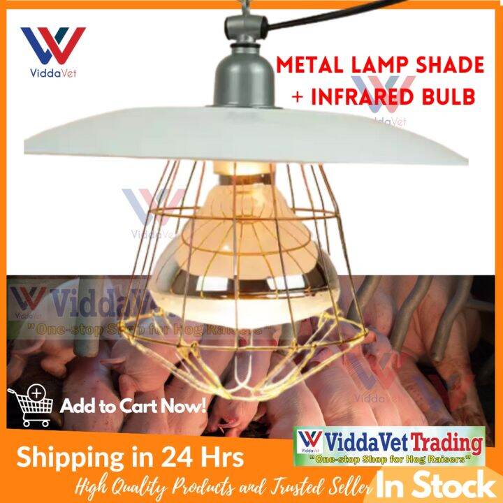 Heat lamp with stand heat lamp for turtle Heat lamp 12 volts brooder