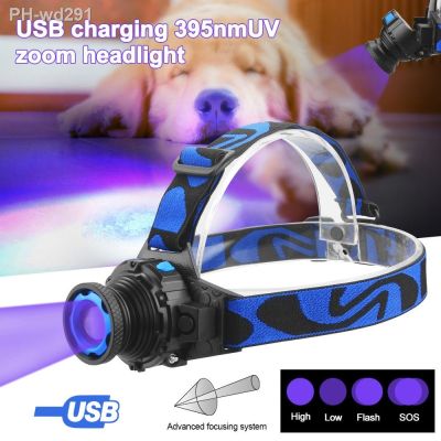 395nm Violet Head Lamp USB Charging UV Headlight Rotate Zoom Headlamp 4 Modes LED Scorpion Light with Built-in Battery