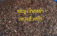 เมล็ดพยุงไหหลำ จำนวน 50 เมล็ด  Dalbergia odorifera แท้ 100% เก็บเงินปลายทาง