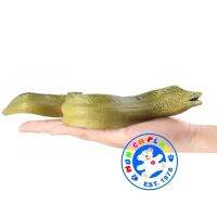 Munich Play - โมเดล Eel Moray ปลาไหล ขนาด 22.00 CM (จากหาดใหญ่)