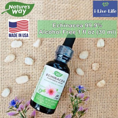 สมุนไพรเอ็กไคนาเซีย สกัดเข้มข้น แบบน้ำ Echinacea Alcohol Free 99.9% 30 mL - Natures Way