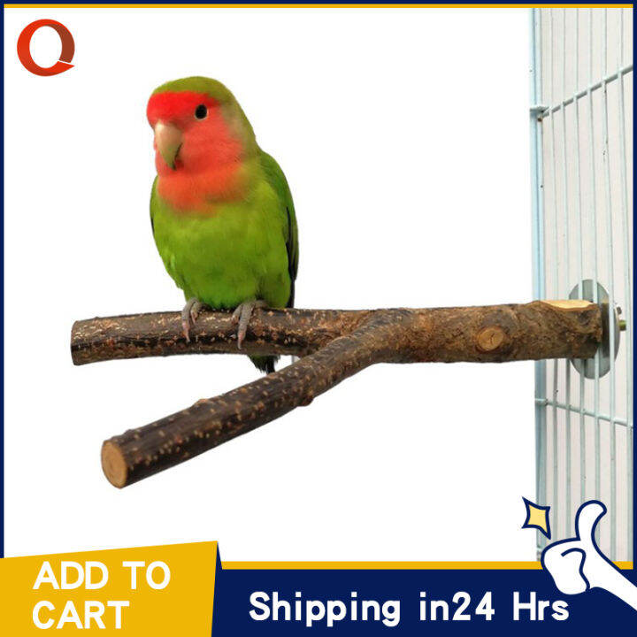 15cm-pet-parrot-raw-wood-branch-hanging-wooden-bird-natural-tree-branch-perch-stand