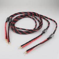 High Quality Pair Western Electric R-Copper 2mm pin banana to 2mm pin banana Audio Speaker Cable