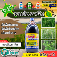 ? แซดเพนดิ (เพนดิเมทาลิน33%EC) ขนาด 1 ลิตร คุมวัชพืชก่อนงอกใบแคบและใบกว้าง