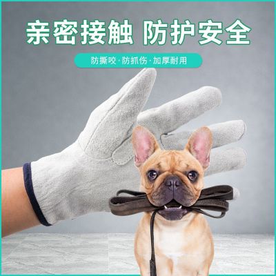 Leather anti-pet bite gloves animal training dog anti-scratch and bite protection artifact dog cat snake mouse crawling pet lengthened thick