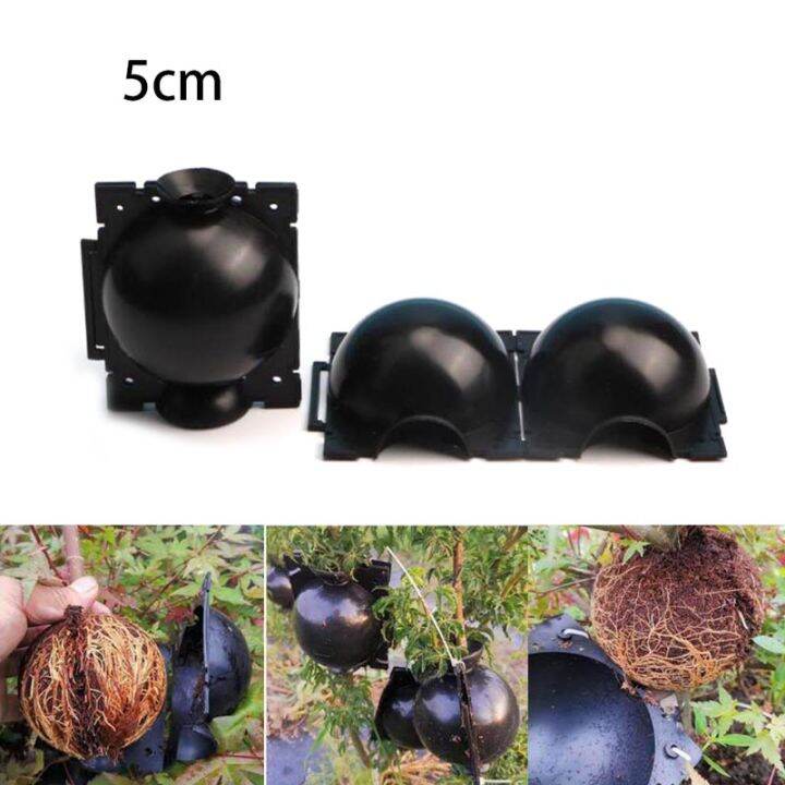 qkkqla-5pcs-5cm-plant-rooting-device-plastic-high-pressure-grafting-ball-boxes-growing-breeding-gardening-supplies-garden-tool