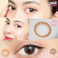 ?ขายดีที่1 มีค่าสายตา? Wink Lilly Gray Brown  บิ๊กอาย สุดปัง คอนแทคเลนส์ รายเดือน มีอย แถมตลับฟรี  เลนส์นิ่ม สวยปังมาก