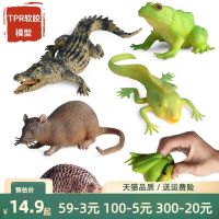 【STCOK】 Childrens Simulated Animal Model TPT Crocodile Snake Frog Pangolin Mouse Pinch And Pressure Relief Toy