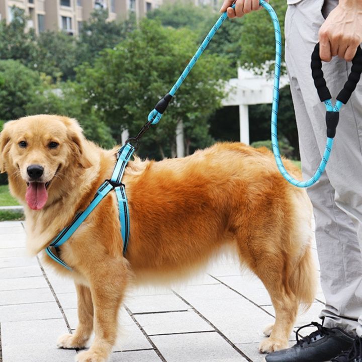 เบาะจับจูงสุนัขสะท้อนแสงสูงจูงฝึกอบรมสุนัข5ft-ไนล่อนเดินเชือกสุนัขสำหรับเดินสบายๆอุปกรณ์สัตว์เลี้ยง