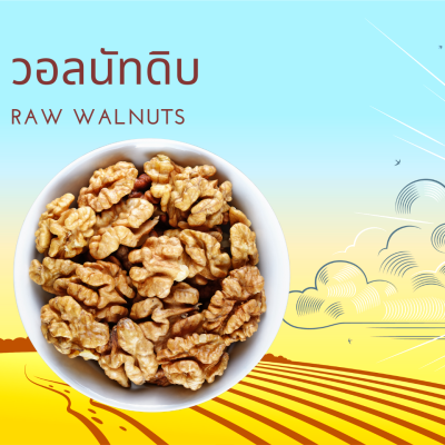 วอลนัท แบบดิบ ยกลัง 10 กิโลกรัม Raw Walnuts 10 kg (LH90)