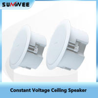 Audio indoor 20W 30W home ceiling speaker ho conference coffee tea shop background music system loudspeaker