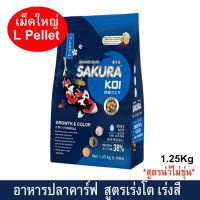 อาหารปลาคาร์ฟ น้ำไม่ขุ่น อาหารปลาซากุระโค่ย สูตรเร่งโต &amp; เร่งสีแบบ 2in1 เม็ดใหญ่ 6มม.1.25กก.SAKURA KOI GROWTH &amp;COLOR