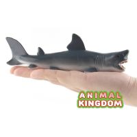 Animal Kingdom - โมเดล Shark ฉลาม ขาว ขนาด 17.00 CM (จากสงขลา)