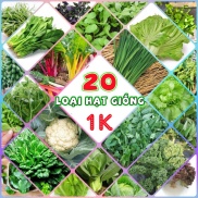 Combo 20 loại hạt giống 1k rau củ quả gói trồng thử shop GIONGHATRAU
